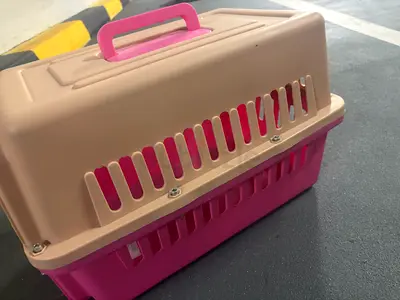 Portable Pet Carrier (Pink) - Good Conditions