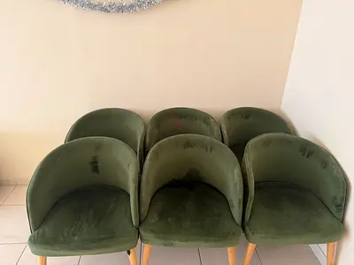 6 Green Velvet Accent Tub Chair with Wooden Legs