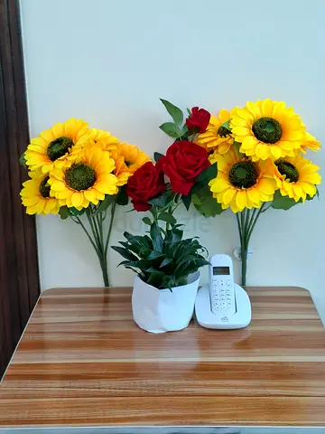 Furnished room for Ladies / executive females