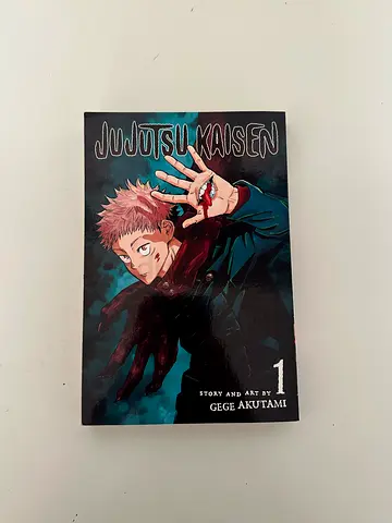 Jujutsu Kaisen, Vol. 1 Manga