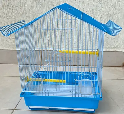 Only cage for bird,  its in good condition