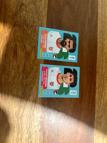 World Cup panini stickers
