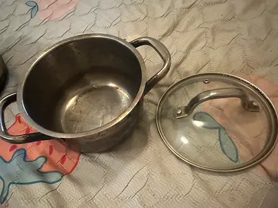 Induction stainless steel cooking pot with glass lid