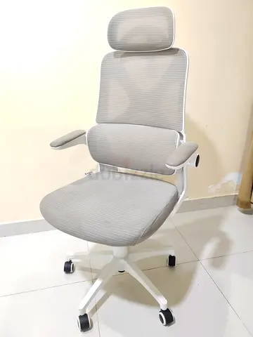 Ergonomic High-Back Office Chair with Headrest — Light Grey