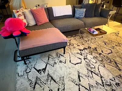 Large Modern Abstract Living Room Rug – Light Neutral with Black Pattern