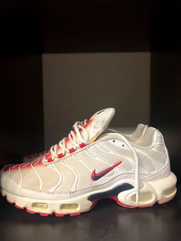 Nike TN (Limited edition) EU 45