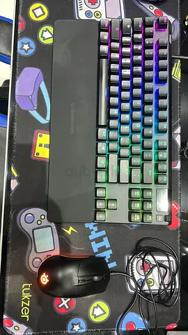 Steelseries Keyboard and Mouse