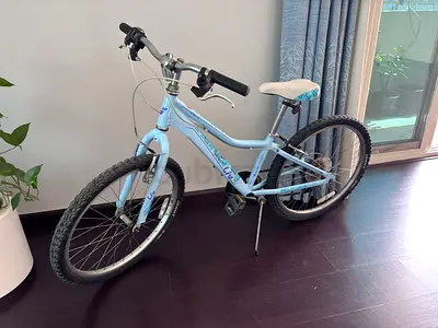Bicycle with gear