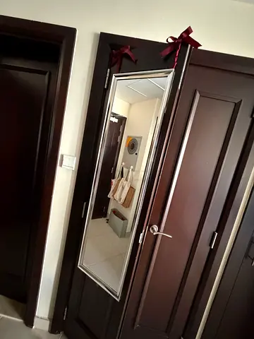 Door mirror