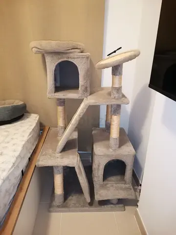 Good condition cat tree and cat bed