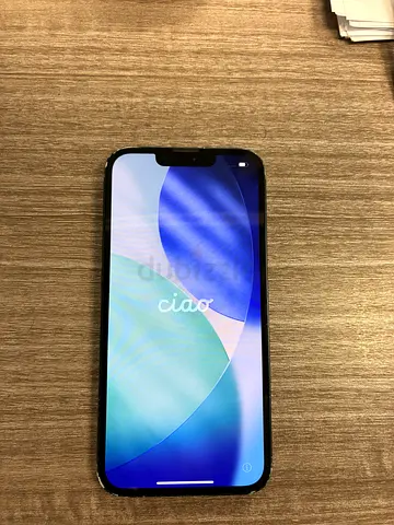 Apple iPhone 13