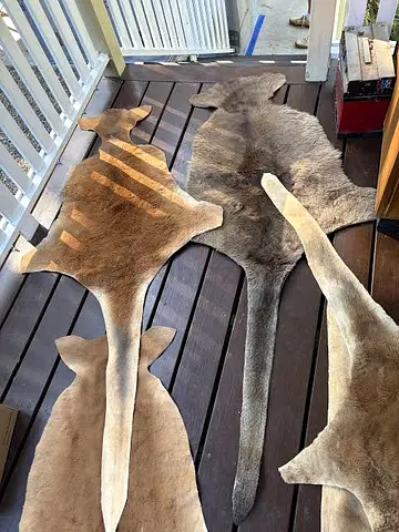Genuine  Kangaroo Skin — Natural Tones, New