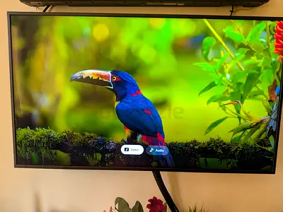 Samsung 43 TV ( Professional series)