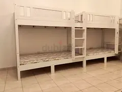 Bed Spaces (Huge Balcony) 5 Minutes Walking Distance From Dic Metro Station