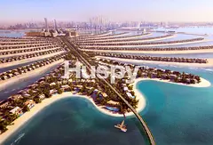 The Palm Crown | Unique Opportunity | Huge Plot