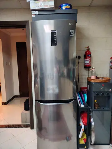 دبي  الورقاء ١