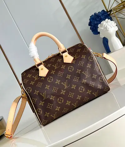 Louis vuitton canvas handbag