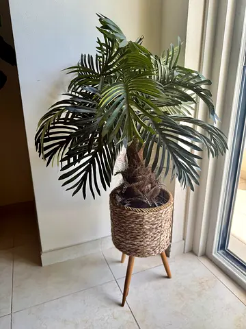 Beautiful Artificial plant