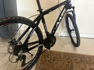 Cycle