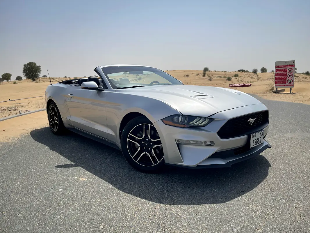Ford Mustang 2019 — photo 1 of 15