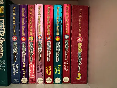 Collection of dork diaries books for sale!