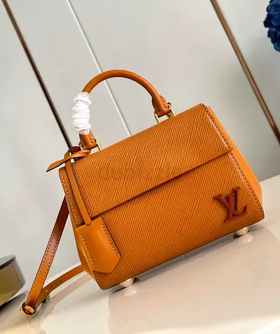 Louis vuitton Cluny mini handbag