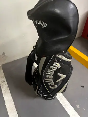 Various clubs with Callaway Golf Stand/Carry Bag