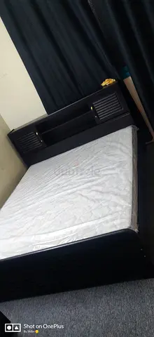 Bed Frame and Medical Mattress