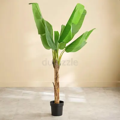Tall Artificial Banana Plant in Pot - Decorative Indoor Palm