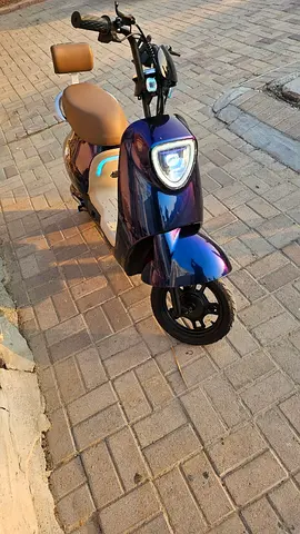 Electric Vespa 48 v 20 mah Metallic colors with brown seats