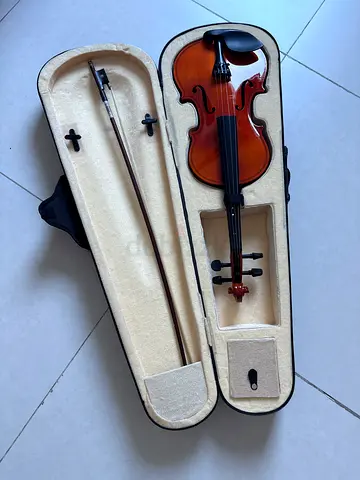 Violin with Case and Bow
