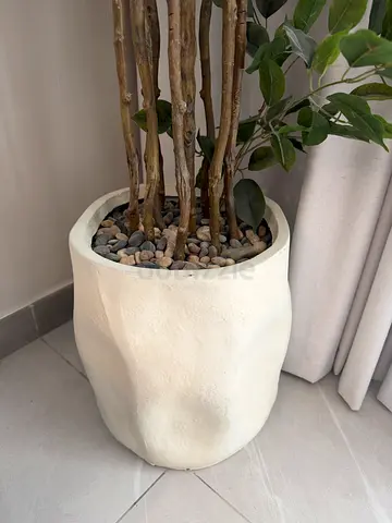 Large white ceramic-style indoor planter with pebbles