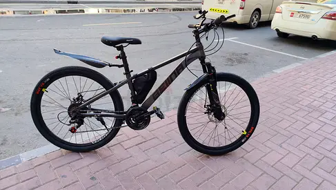 Bellina bicycle for sale