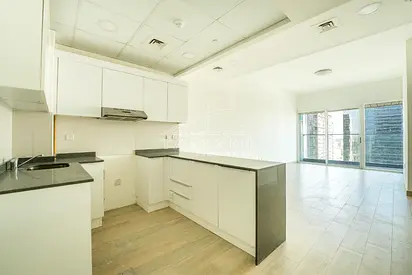 Fully Furnished Renovated Park view
