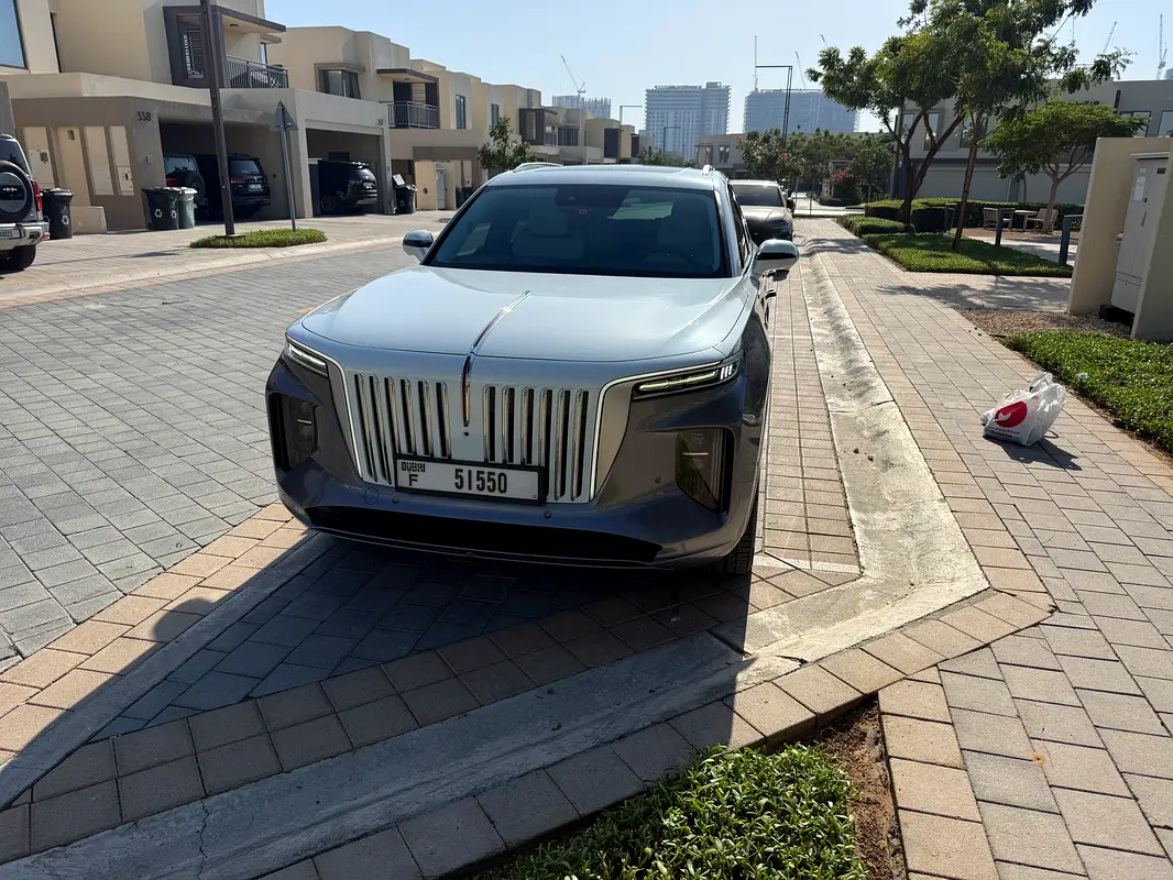 Hongqi E-HS9 2023 — photo 1 of 7