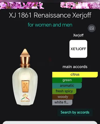 Xerjoff Renaissance