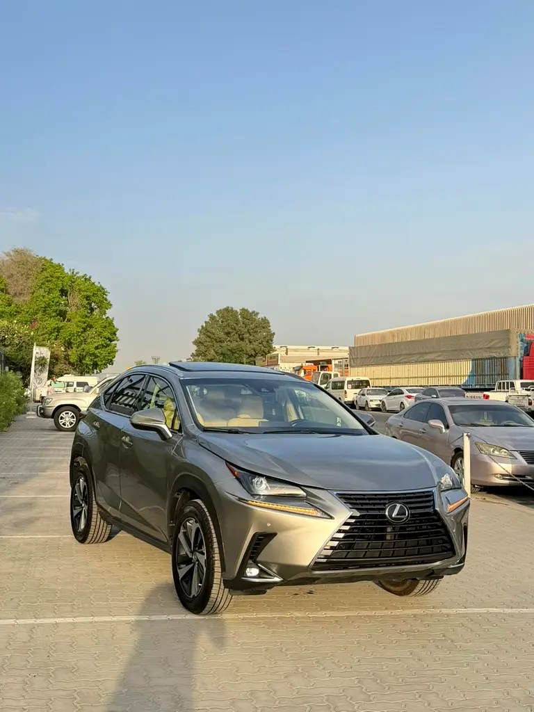 Lexus NX-Series 2021 — photo 1 of 18