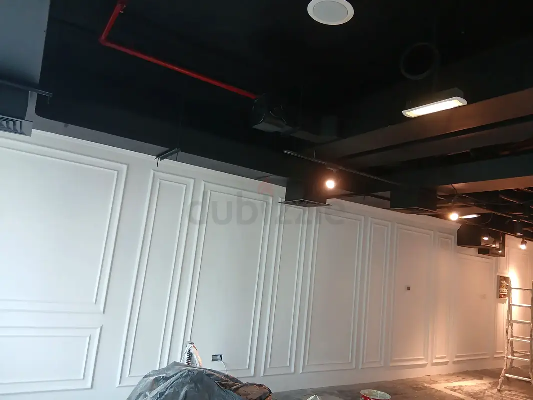 DPV_View_Image_4