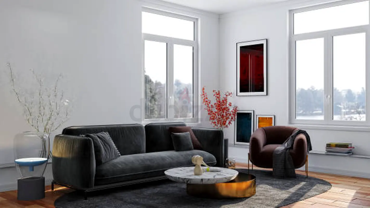 DPV_View_Image_5