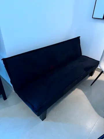 Danube Sofa Cum Bed