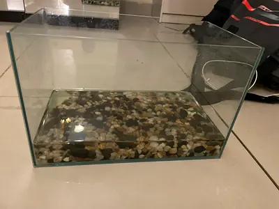 Used rectangular glass aquarium with gravel base - 60cm (no lid/filter)