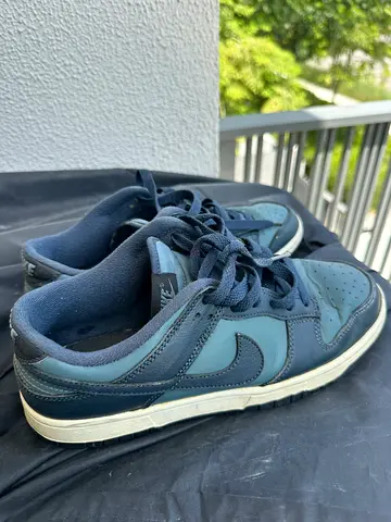 Nike sb 42.5