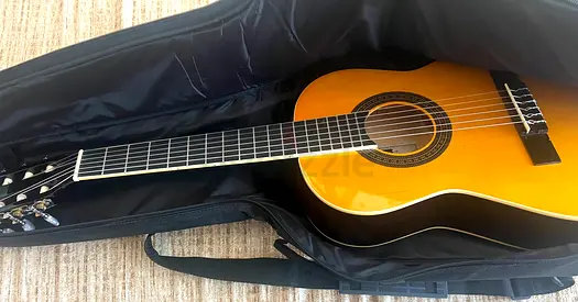Classical Nylon-String Acoustic Guitar with Soft Case and accessories