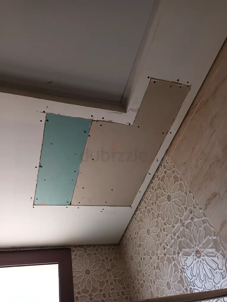 DPV_View_Image_2
