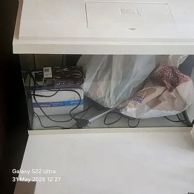 Fish aquarium