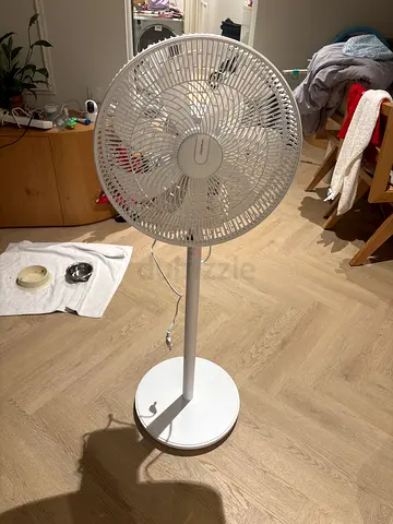 Fan