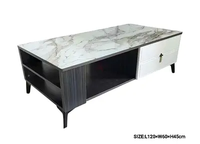 Modern Marble-Top TV/Center Coffee Table with Storage (120 x 60 x 45 cm)