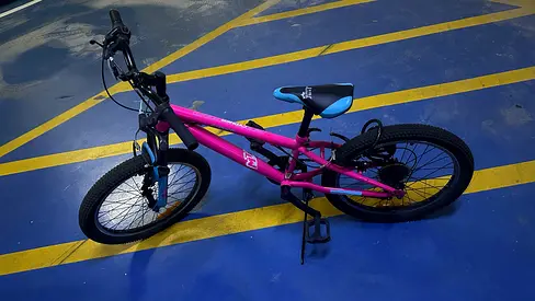 Pink Kids Mountain Bike
