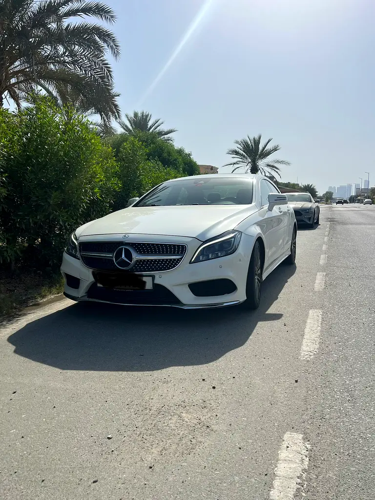 Mercedes-Benz CLS-Class 2015 — photo 1 of 8