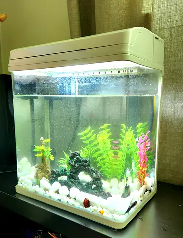 Aquarium-Fish tank with filter ,Light and Plants,stones set